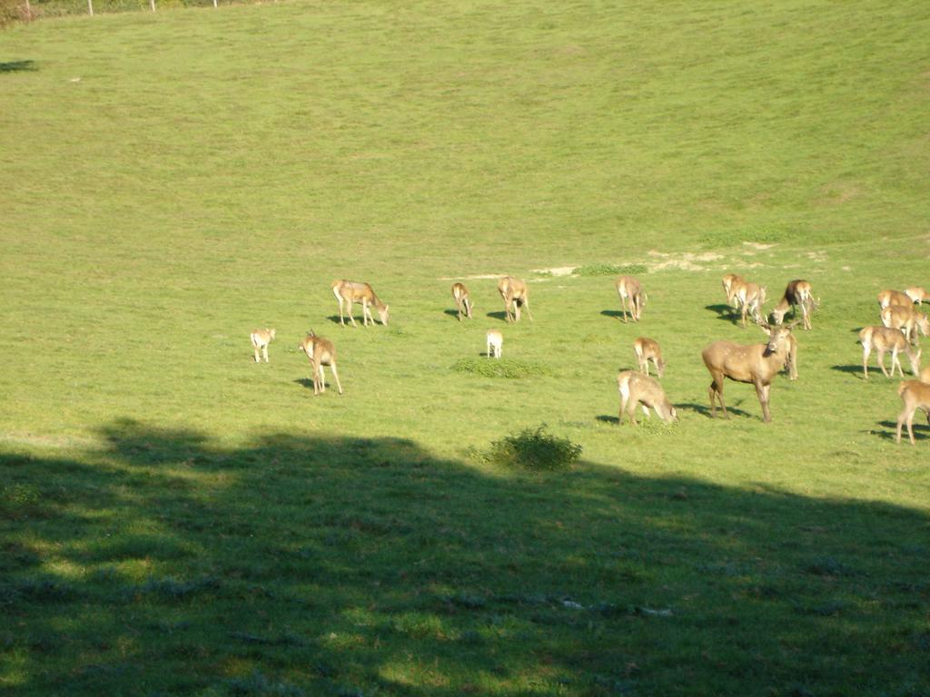 Gaestehaus Wildgehege Wilhelm